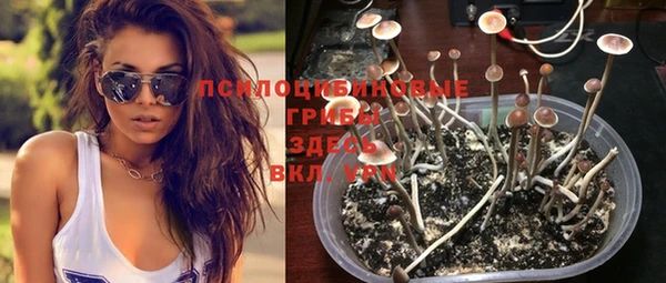 спайс Балахна